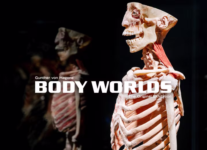 1ab63c14 149c 11f0 945a f65f346f445e 1