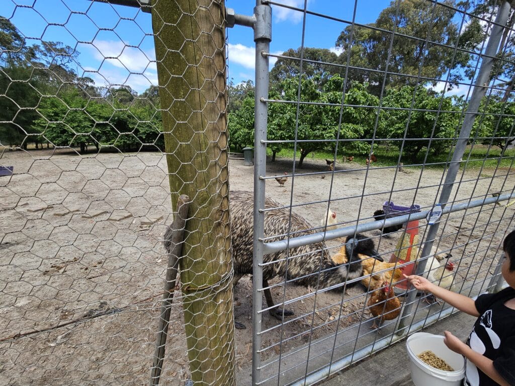 The Berry Farm Margaret River