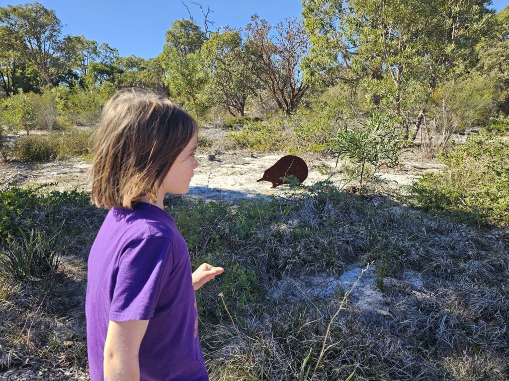 Children's Forest Whiteman Park