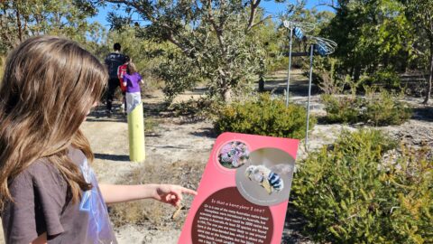 Children's Forest Whiteman Park