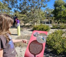 Children’s Forest Whiteman Park