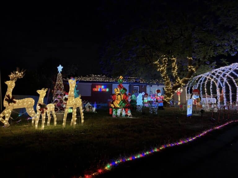 589441080 122152562018691162 606700312910266764 n 768x576