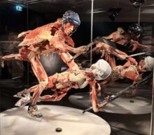 Body Worlds: The Anatomy of Happiness