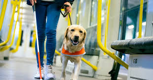 Guide Dog Story Time at Gosnells Library