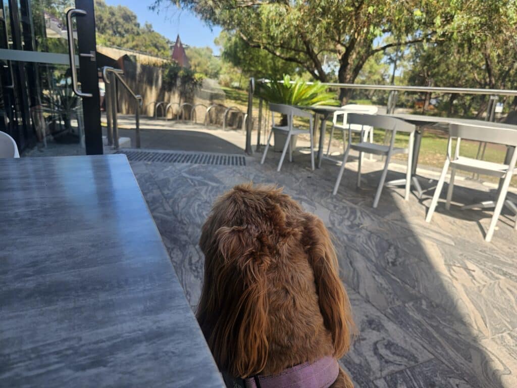 Café du Point Perth