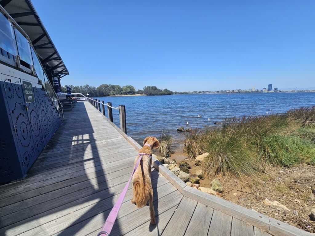 Café du Point Perth