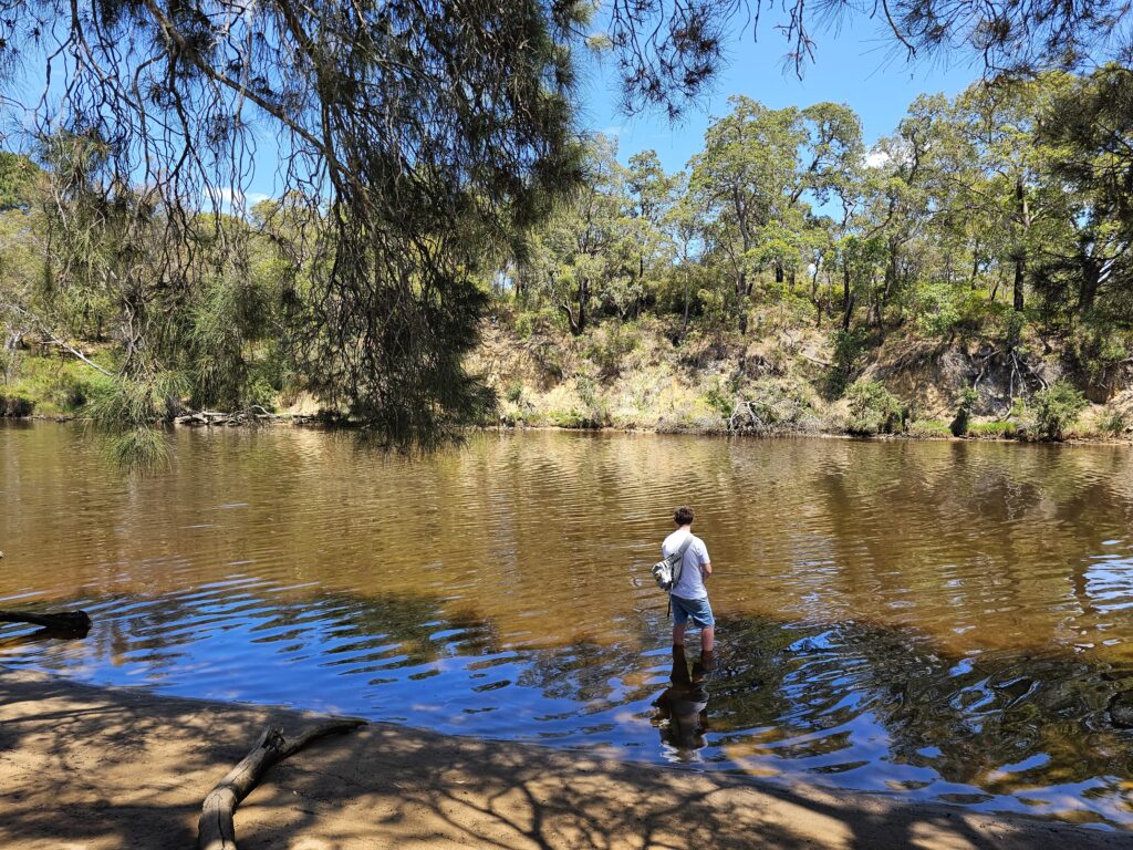 Fishmarket Reserve Playground, Guildford