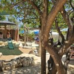 Percy’s Playground Guildford