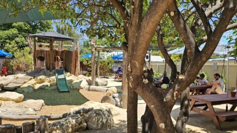 Percy’s Playground Guildford