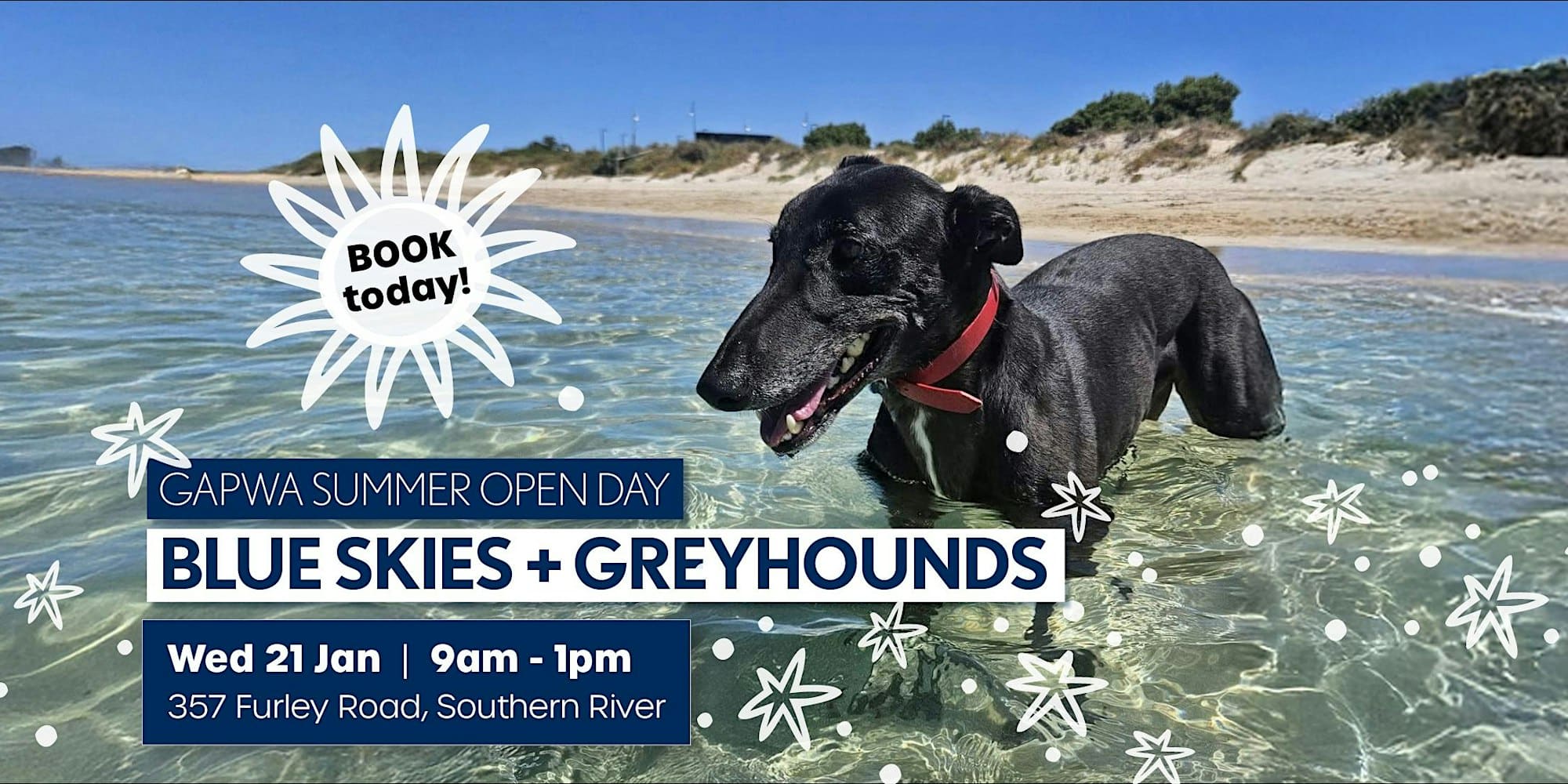 9dcd7991939e0ea97d354dc16171a6f3