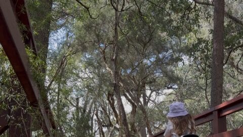 Pedal Play Whiteman Park