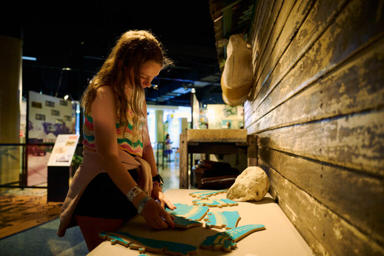 Wanneroo Regional Museum General Use 9 2024 768x512