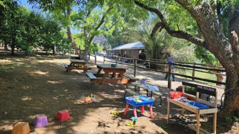 Willow Springs Orchard Bedfordale