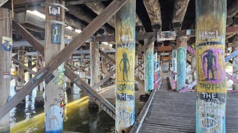 Canning Bridge Precinct Art Walk