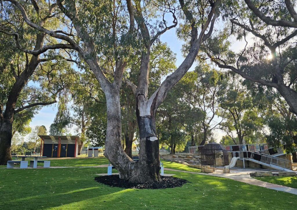 Rotary Park Wanneroo