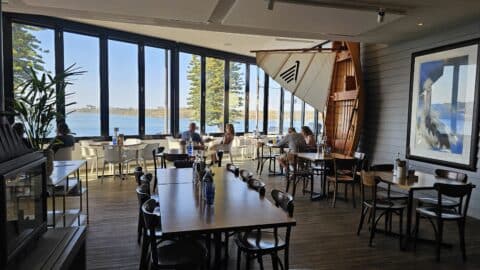 The Colourpatch Augusta