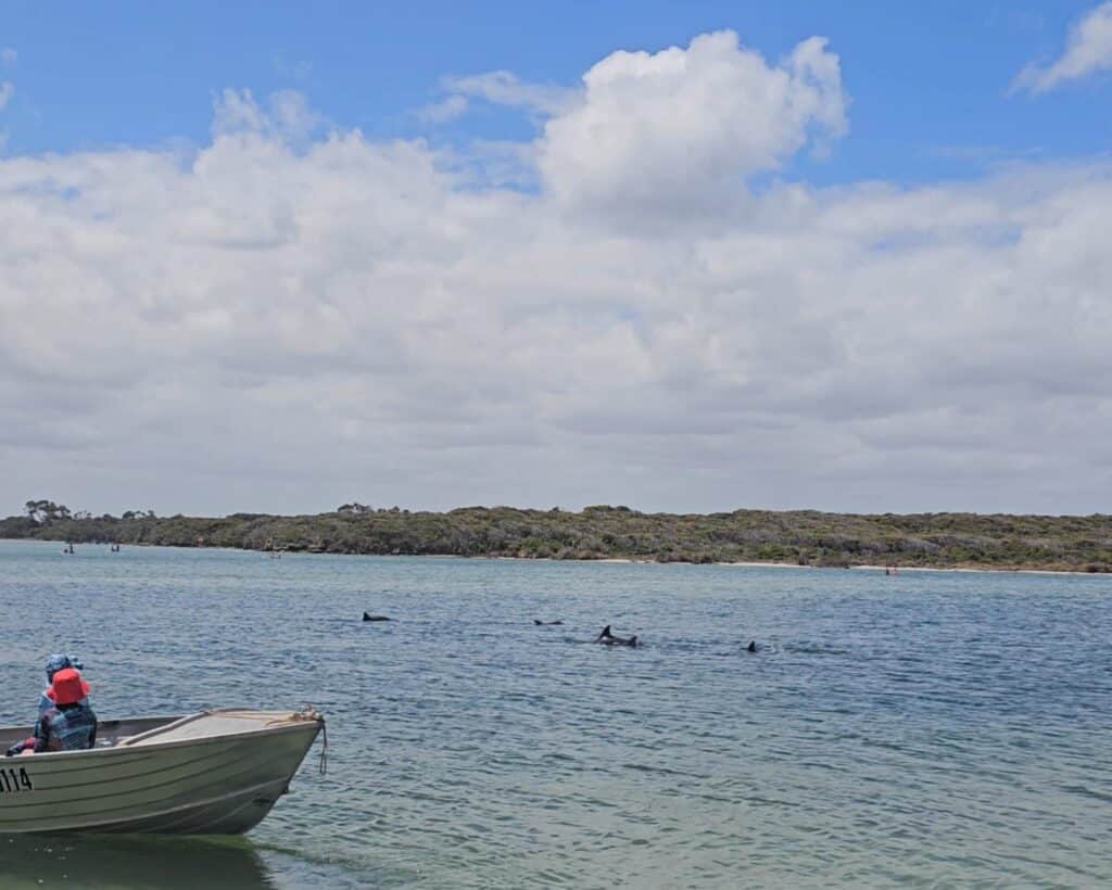 Hardy Inlet Foreshore