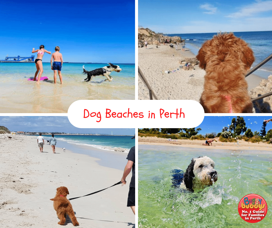 Dog Beaches in Perth