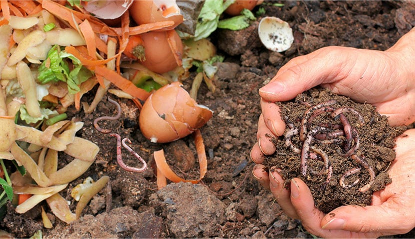 April school holidays- Build Your Own Worm Farm