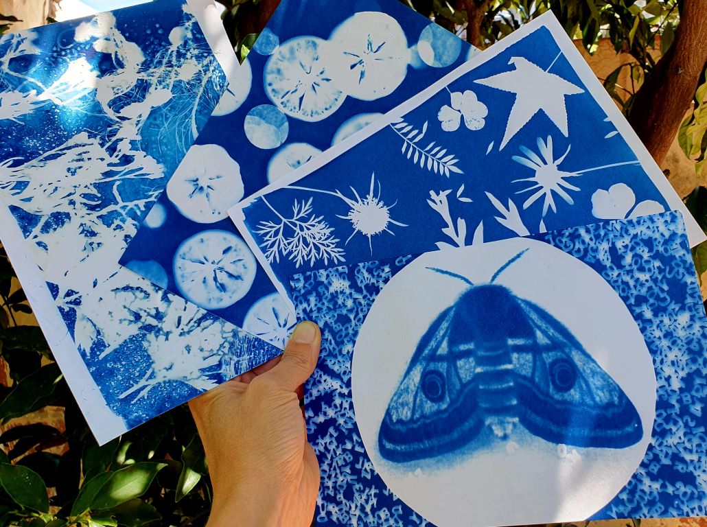 Cyanotype Printmaking for Kids – school holiday workshop