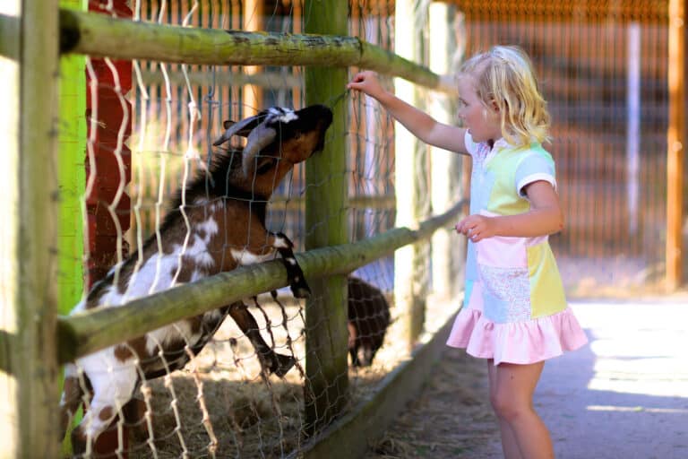 Depositphotos_126834430_L