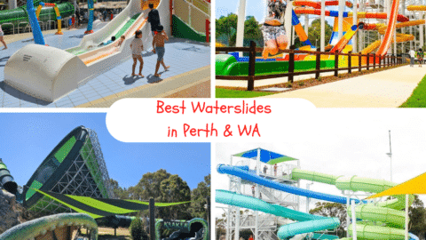 The Best Water Slides in Perth