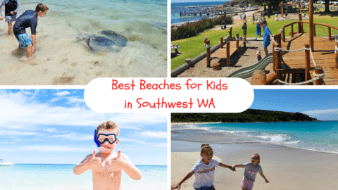 Southwest WA Beaches for Kids