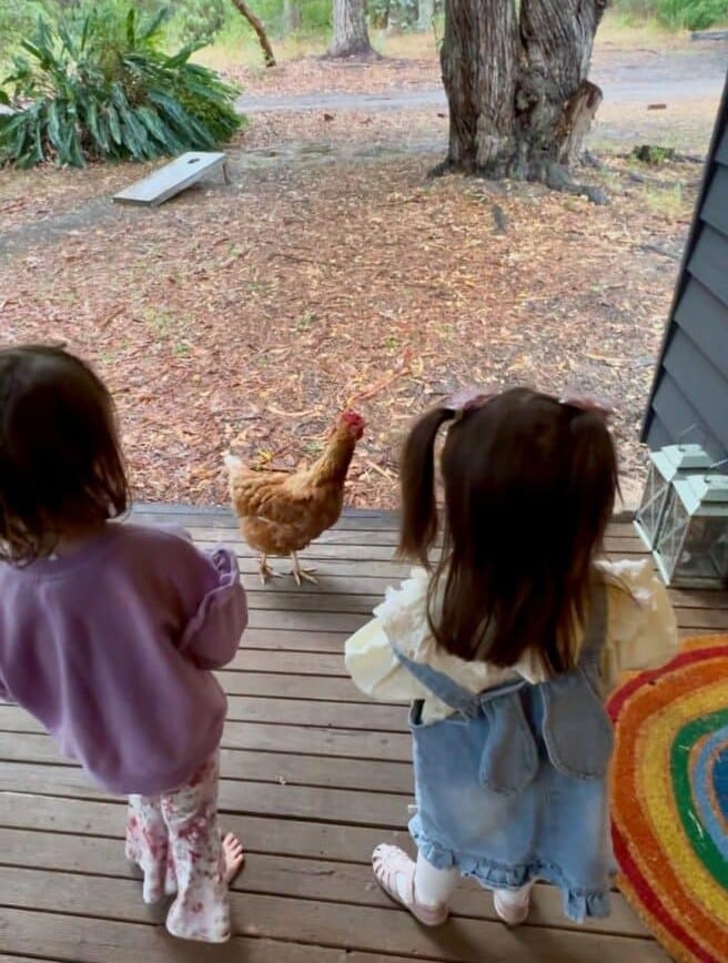 Things to do in Augusta 