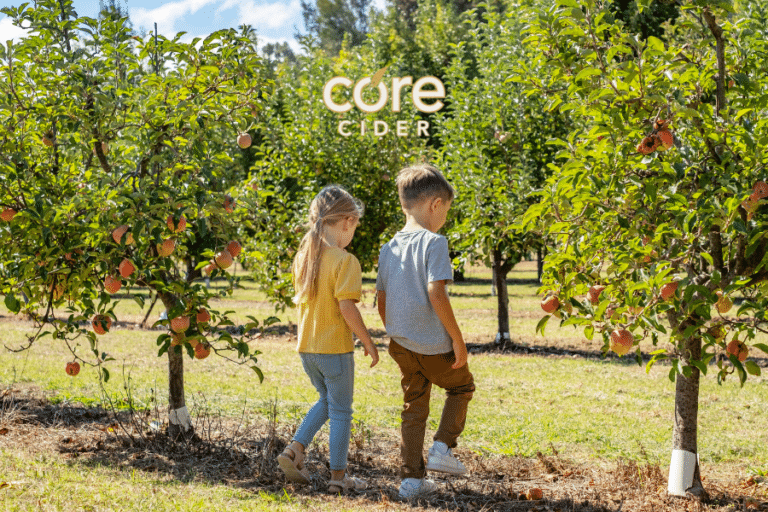 Website Image 1 768x512