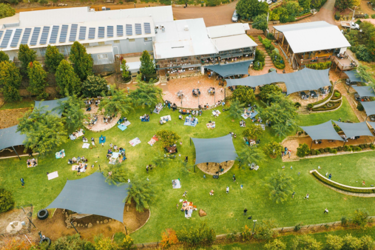 Website Image 2 768x512