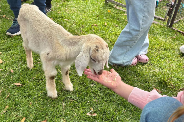 Website Image 4 768x512