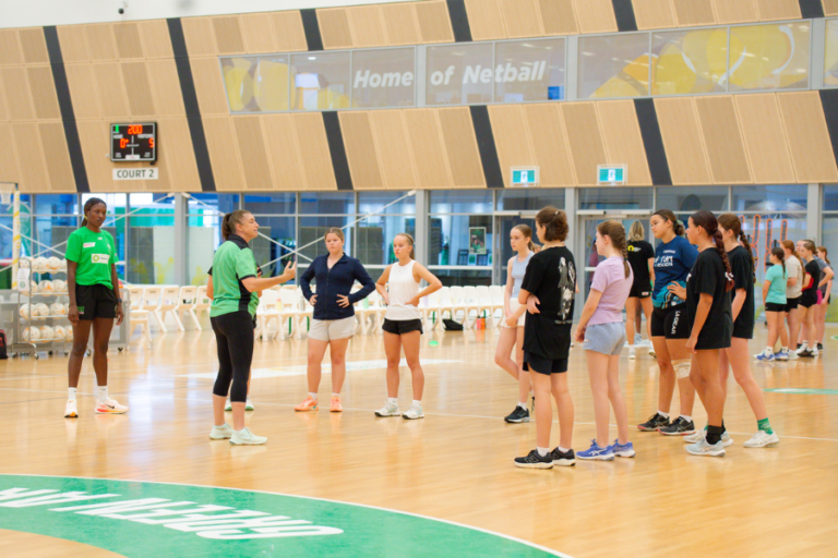 buggy buddys website image 2 768x512