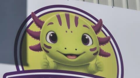 Axo’s Playland, Balcatta