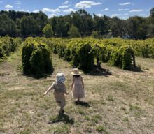 Edgecombe Bros, Henley Brook