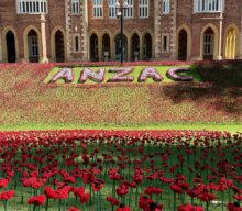 Poppy Display at Government House Gardens