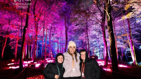 Harry Potter: A Forbidden Forest Experience