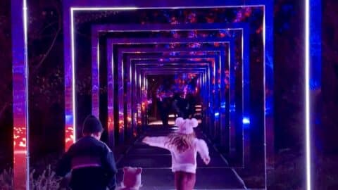 Lightscape, Kings Park