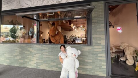 Teddy & Co, South Perth