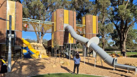 Gumnut Park, Sinagra