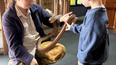 West Australian Reptile Park