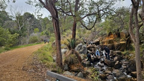 Railway Reserves Heritage Trail
