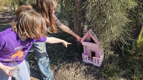 Whiteman Park Fairy Doors