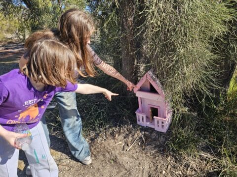 Whiteman Park Fairy Doors