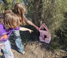 Whiteman Park Fairy Doors