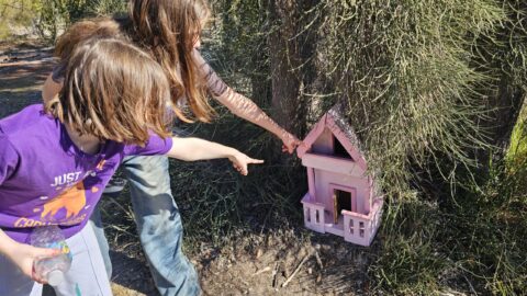 Whiteman Park Fairy Doors