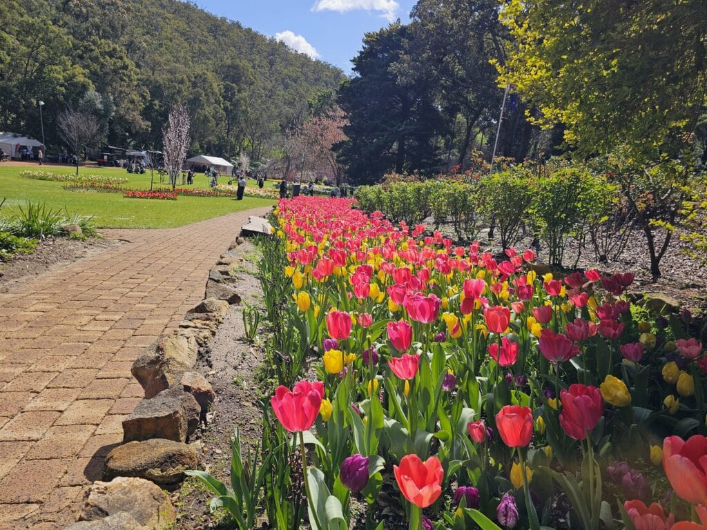 Araluen Botanic Park
