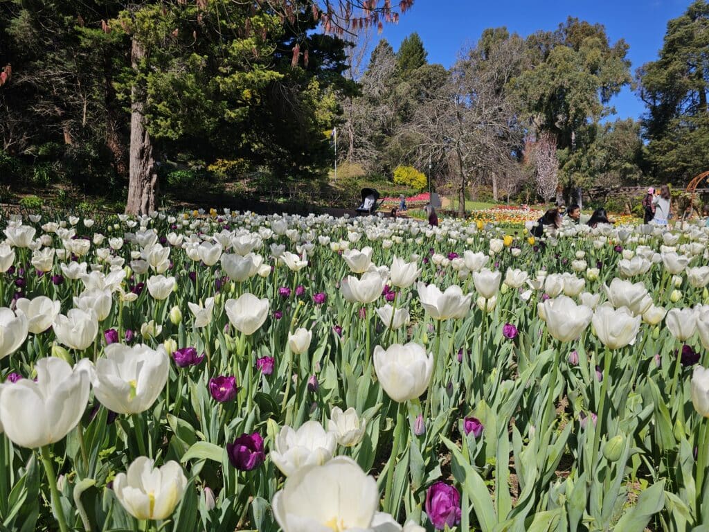 Araluen Botanic Park