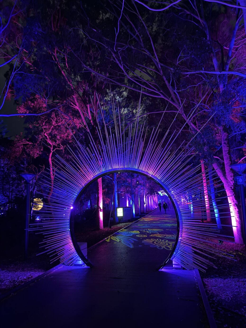 Bloom Joondalup
