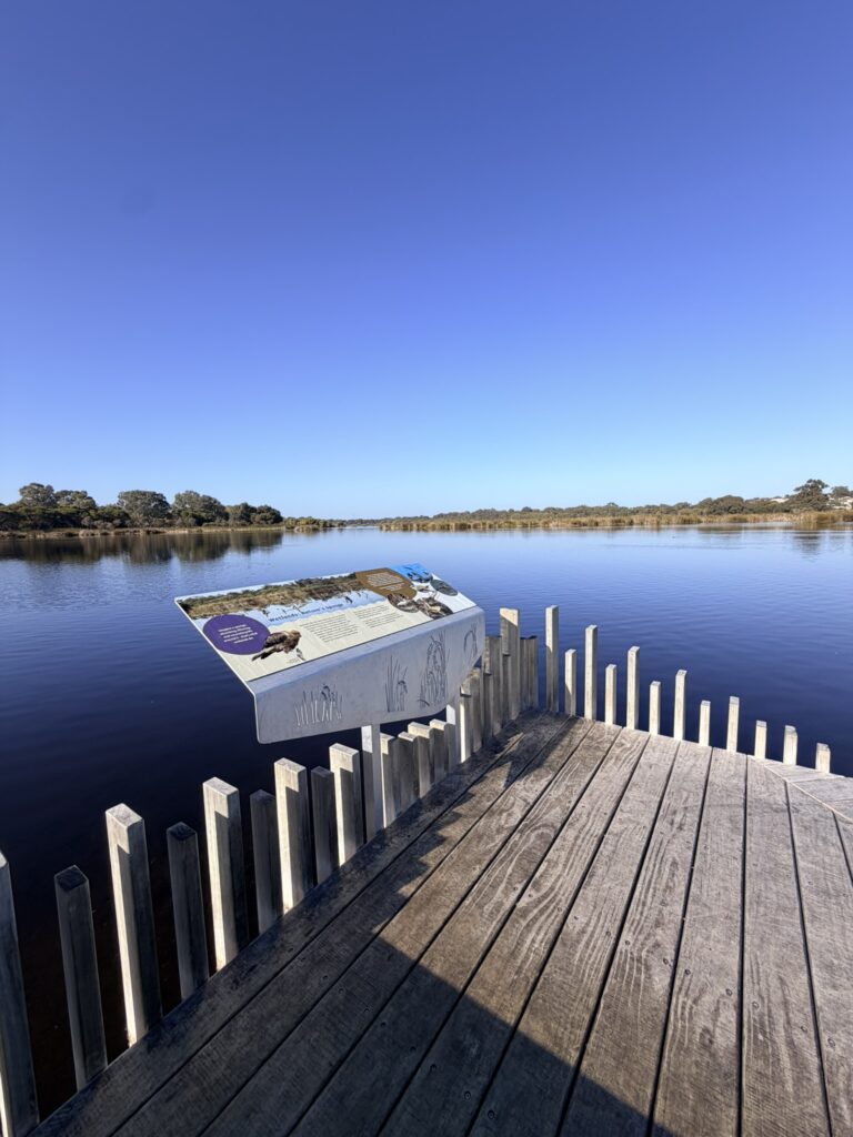 Lake Goollelal Boardwalk: Stroller‑Friendly, Dog Friendly Yellagonga