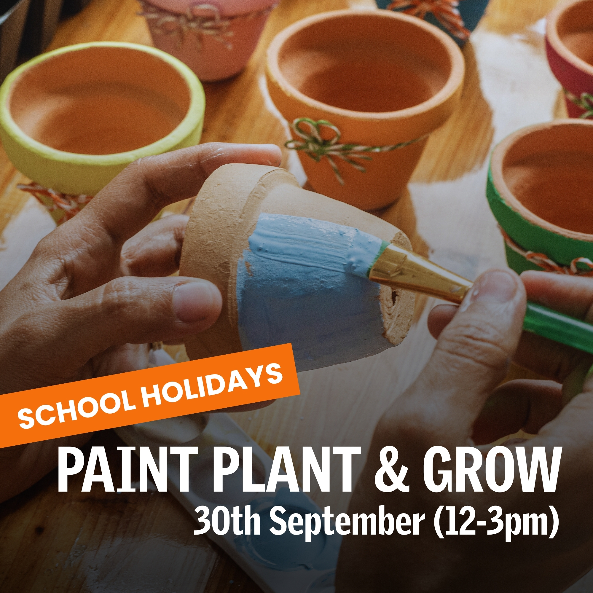Paint, Plant & Grow!